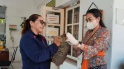 Puskeswan Polman Gencarkan Vaksinasi Rabies Hewan Warga